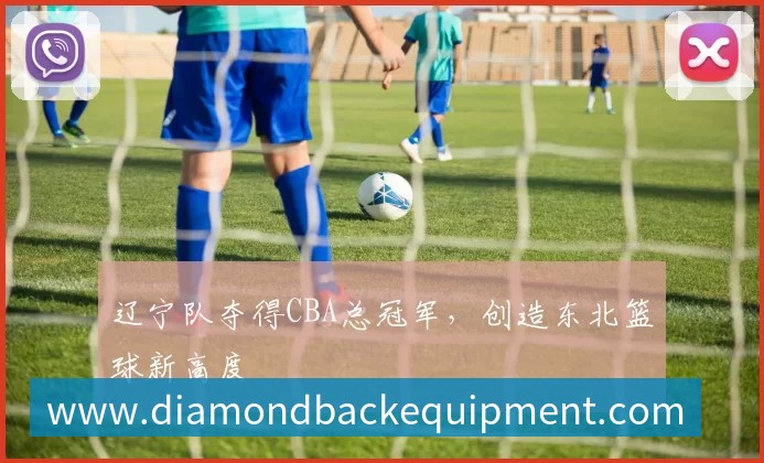 辽宁队夺得CBA总冠军,创造东北篮球新高度