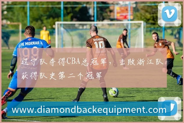 辽宁队夺得CBA总冠军,击败浙江队获得队史第二个冠军